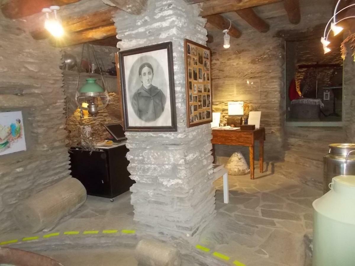 Cyclades Olive Museum'S Guest House Pitrofos Exteriör bild